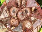 Hand Made Red Podocarpus Petrified Wood Conglomerate Plaque x 2 From Mahajanga, Madagascar