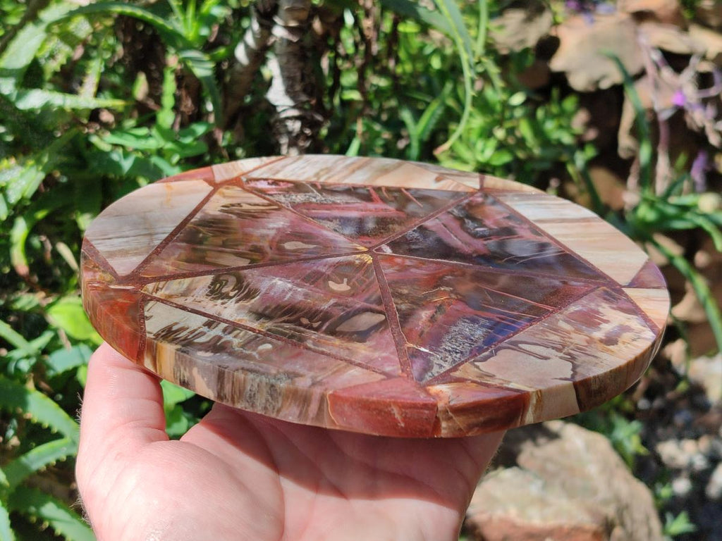 Hand Made Red Podocarpus Petrified Wood Conglomerate Plaque x 2 From Mahajanga, Madagascar