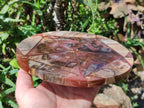 Hand Made Red Podocarpus Petrified Wood Conglomerate Plaque x 2 From Mahajanga, Madagascar
