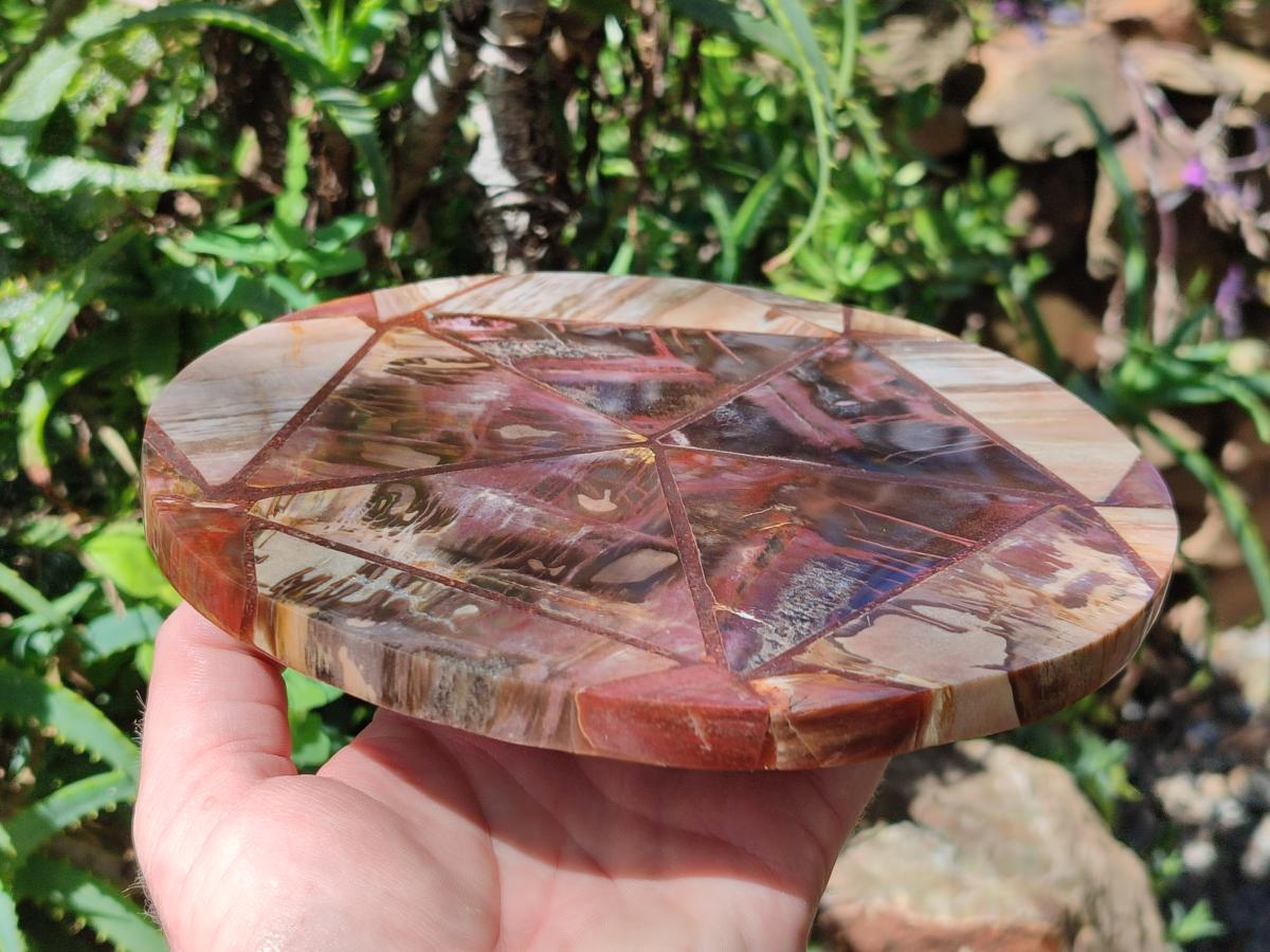 Hand Made Red Podocarpus Petrified Wood Conglomerate Plaque x 2 From Mahajanga, Madagascar