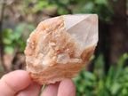 Natural Cascading Single Pineapple Quartz Crystals x 12 From Antsirabe, Madagascar