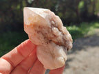 Natural Cascading Single Pineapple Quartz Crystals x 12 From Antsirabe, Madagascar