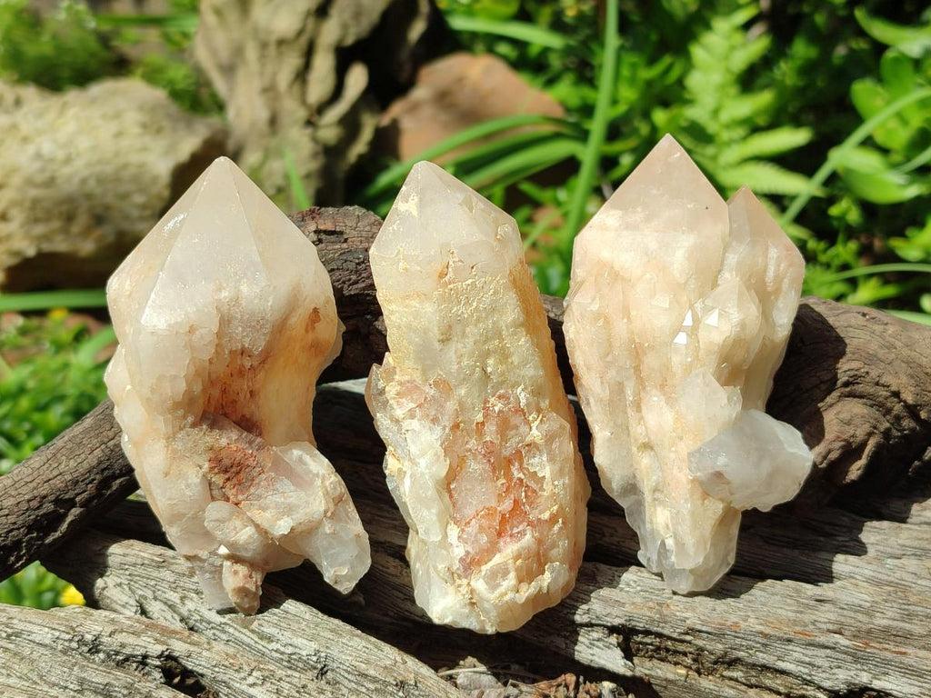 Natural Cascading Single Pineapple Quartz Crystals x 12 From Antsirabe, Madagascar
