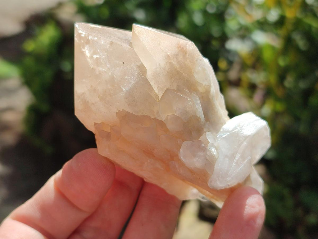 Natural Cascading Single Pineapple Quartz Crystals x 12 From Antsirabe, Madagascar