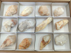 Natural Cascading Single Pineapple Quartz Crystals x 12 From Antsirabe, Madagascar