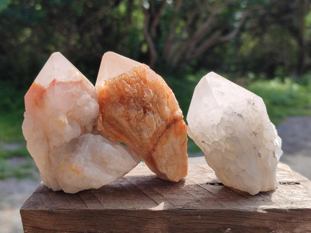Natural Cascading Single Pineapple Quartz Crystals x 12 From Antsirabe, Madagascar
