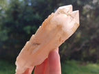 Natural Cascading Single Pineapple Quartz Crystals x 12 From Antsirabe, Madagascar