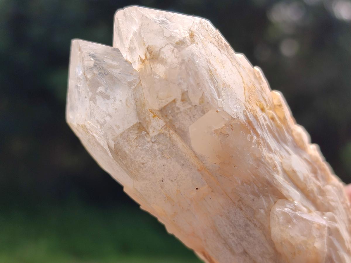 Natural Cascading Single Pineapple Quartz Crystals x 12 From Antsirabe, Madagascar