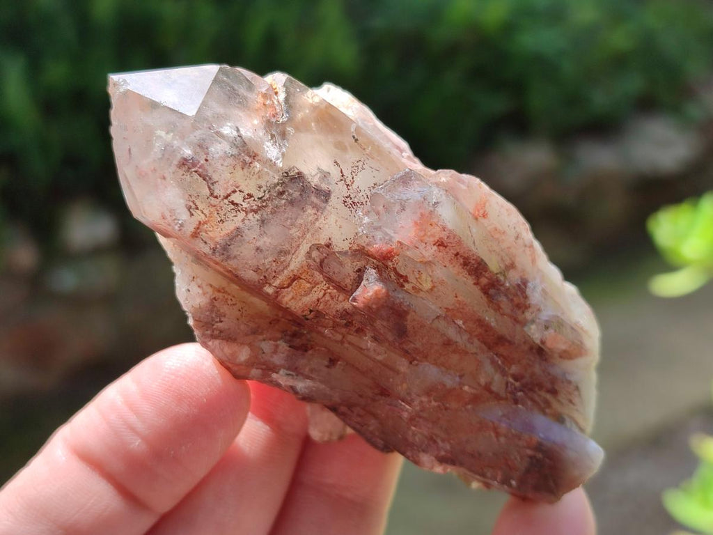 Natural Red Hematoid Quartz Crystals x 12 From Karoi, Zimbabwe