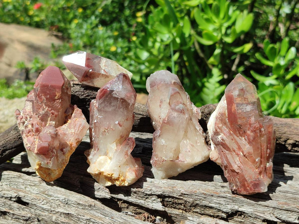 Natural Red Hematoid Quartz Crystals x 12 From Karoi, Zimbabwe