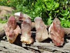 Natural Red Hematoid Quartz Crystals x 12 From Karoi, Zimbabwe