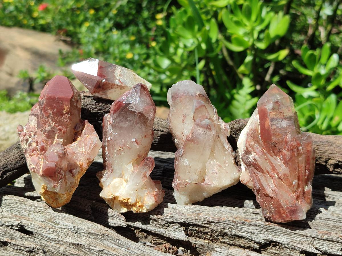 Natural Red Hematoid Quartz Crystals x 12 From Karoi, Zimbabwe
