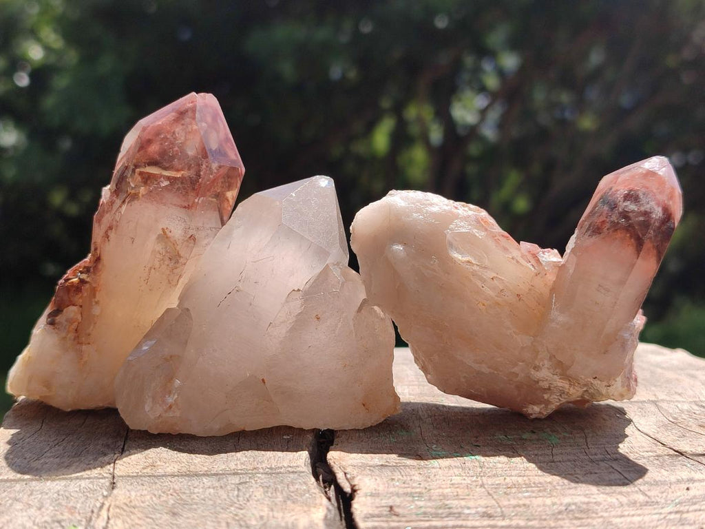 Natural Red Hematoid Quartz Crystals x 12 From Karoi, Zimbabwe