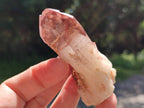 Natural Red Hematoid Quartz Crystals x 12 From Karoi, Zimbabwe