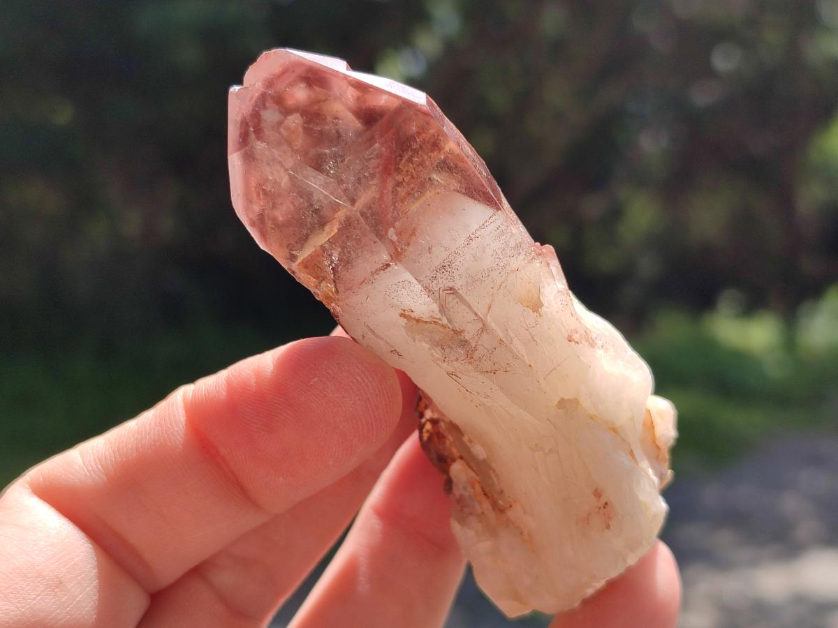 Natural Red Hematoid Quartz Crystals x 12 From Karoi, Zimbabwe