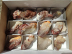 Natural Red Hematoid Quartz Crystals x 12 From Karoi, Zimbabwe