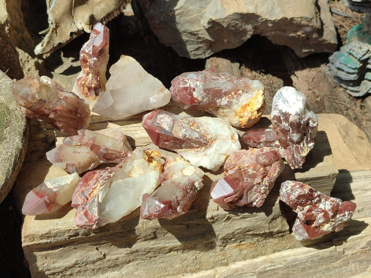 Natural Red Hematoid Quartz Crystals x 12 From Karoi, Zimbabwe