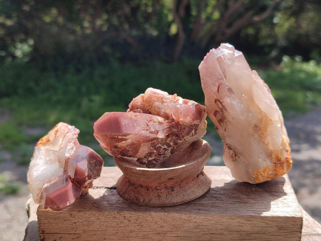 Natural Red Hematoid Quartz Crystals x 12 From Karoi, Zimbabwe