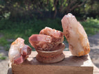 Natural Red Hematoid Quartz Crystals x 12 From Karoi, Zimbabwe