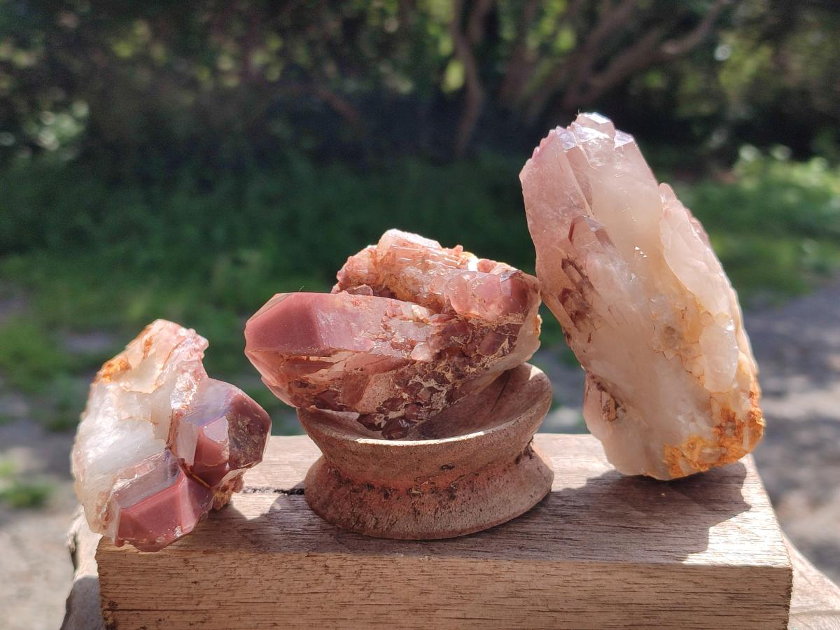 Natural Red Hematoid Quartz Crystals x 12 From Karoi, Zimbabwe