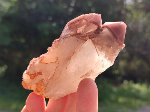 Natural Red Hematoid Quartz Crystals x 12 From Karoi, Zimbabwe