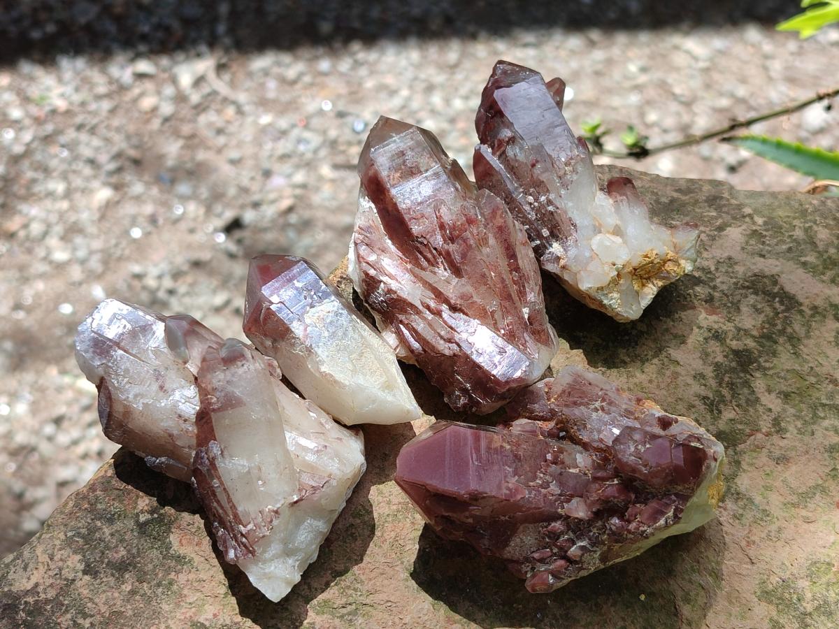 Natural Red Hematoid Quartz Crystals x 12 From Karoi, Zimbabwe