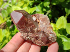 Natural Red Hematoid Quartz Crystals x 12 From Karoi, Zimbabwe
