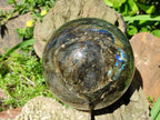 Polished Large Labradorite Sphere x 1 From Madagascar