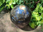 Polished Large Labradorite Sphere x 1 From Madagascar