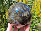 Polished Large Labradorite Sphere x 1 From Madagascar