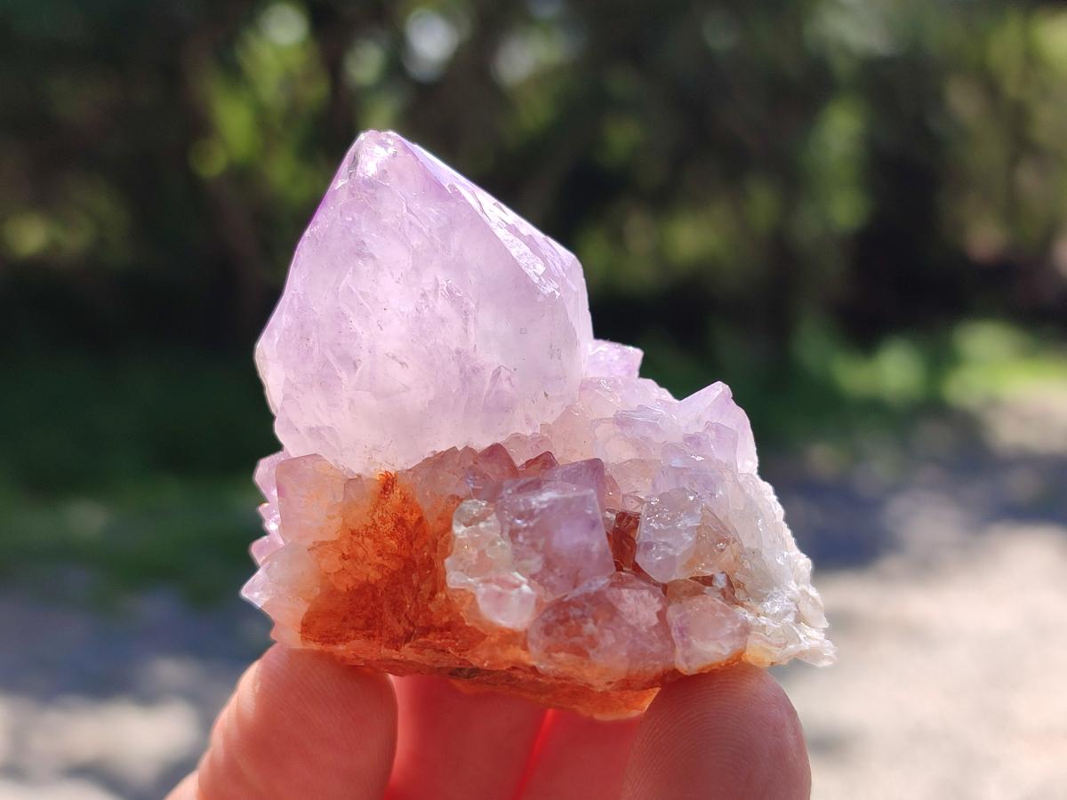 Natural Spirit Amethyst Crystals x 12 From Boekenhouthoek, South Africa