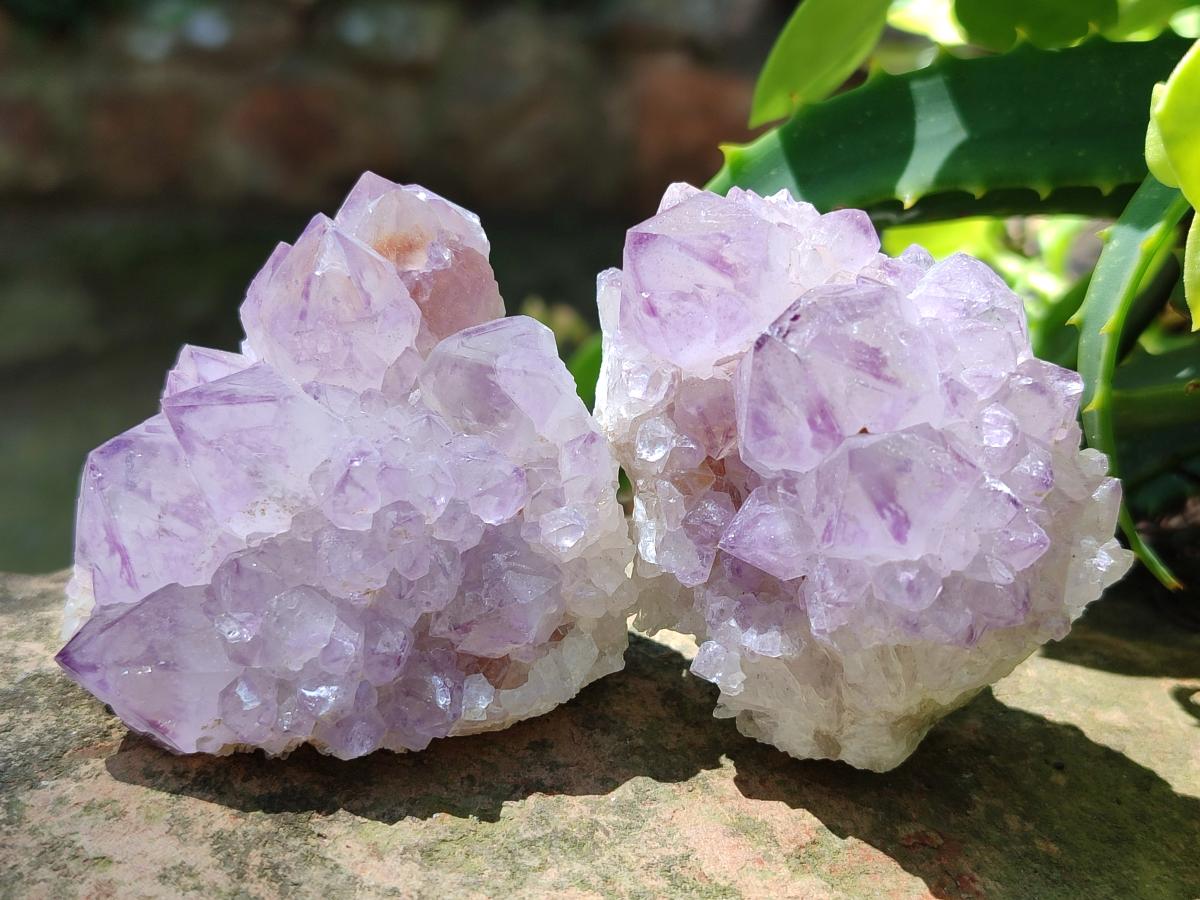Natural Spirit Amethyst Crystals x 12 From Boekenhouthoek, South Africa