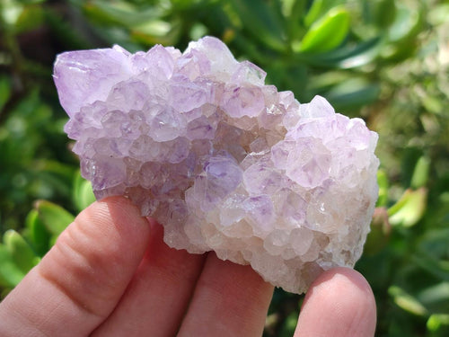 Natural Spirit Amethyst Crystals x 12 From Boekenhouthoek, South Africa