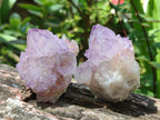 Natural Spirit Amethyst Crystals x 12 From Boekenhouthoek, South Africa