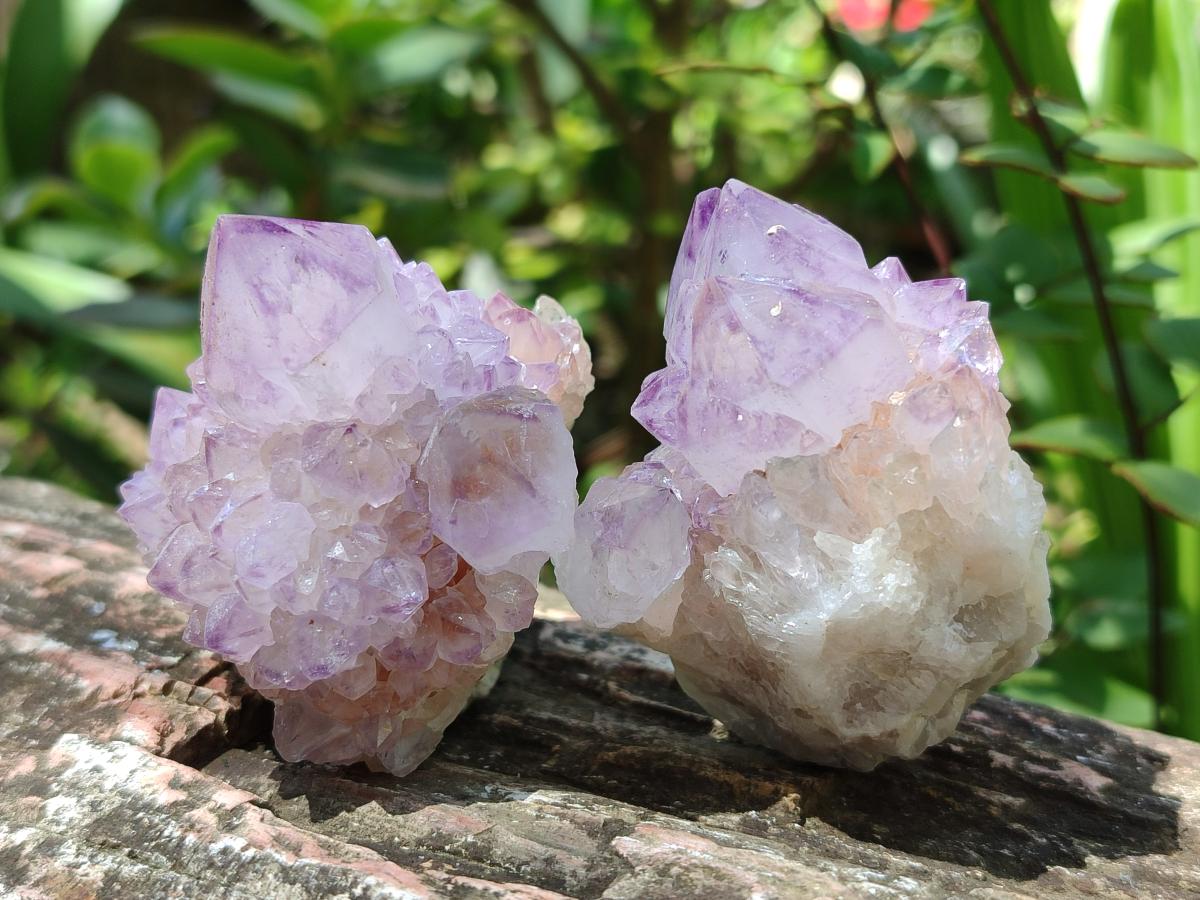 Natural Spirit Amethyst Crystals x 12 From Boekenhouthoek, South Africa