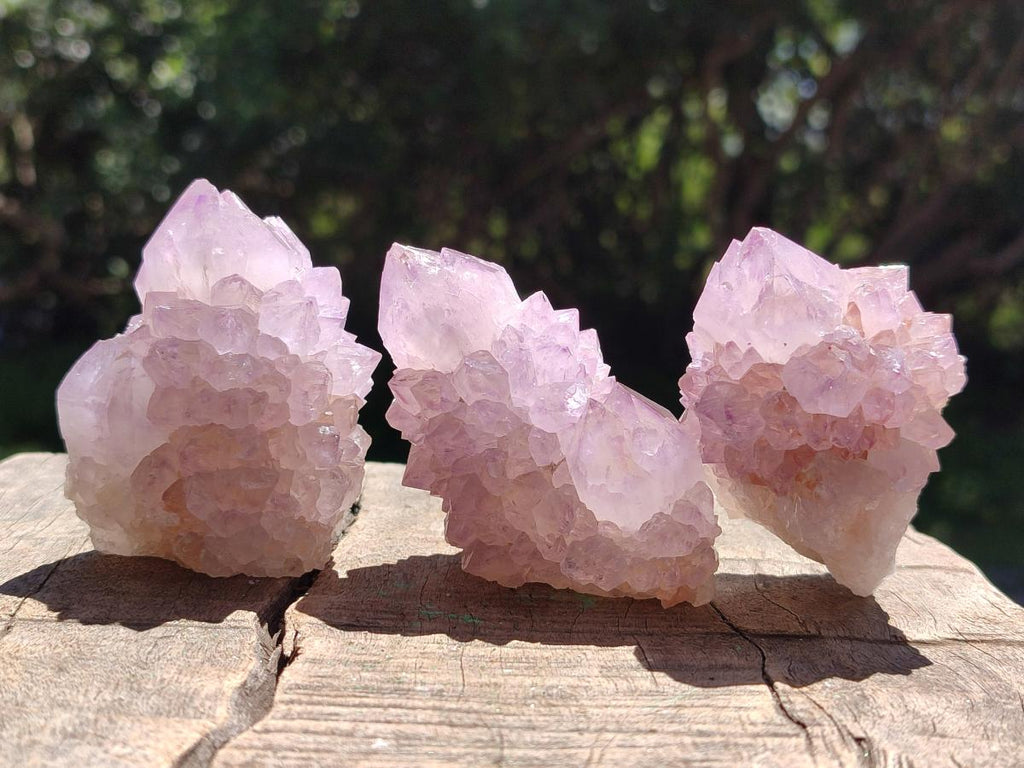 Natural Spirit Amethyst Crystals x 12 From Boekenhouthoek, South Africa