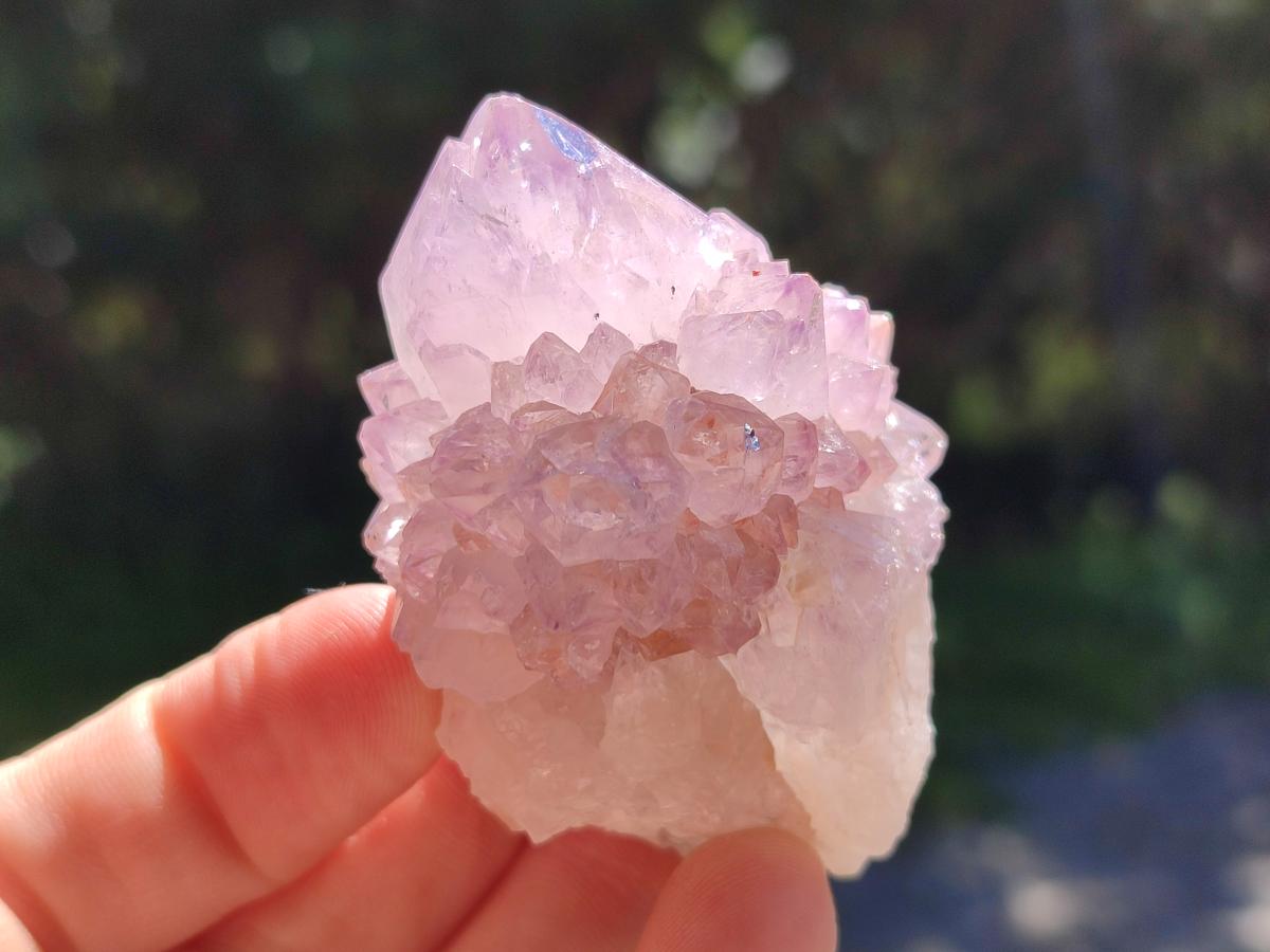 Natural Spirit Amethyst Crystals x 12 From Boekenhouthoek, South Africa