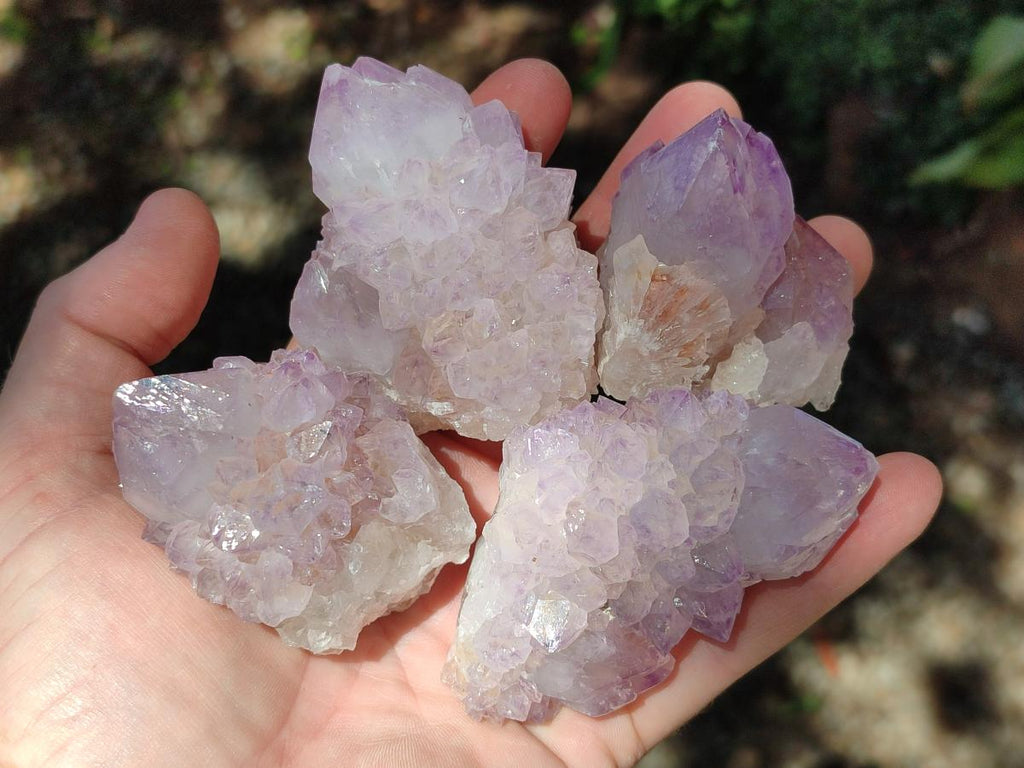Natural Spirit Amethyst Crystals x 12 From Boekenhouthoek, South Africa