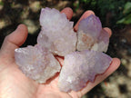 Natural Spirit Amethyst Crystals x 12 From Boekenhouthoek, South Africa