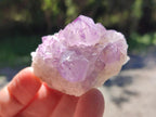 Natural Spirit Amethyst Crystals x 12 From Boekenhouthoek, South Africa