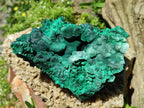 Natural Silky Malachite Specimens x 2 From Kasompe, Congo
