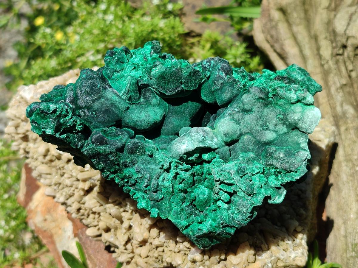 Natural Silky Malachite Specimens x 2 From Kasompe, Congo