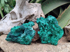 Natural Silky Malachite Specimens x 2 From Kasompe, Congo