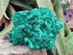 Natural Silky Malachite Specimens x 2 From Kasompe, Congo