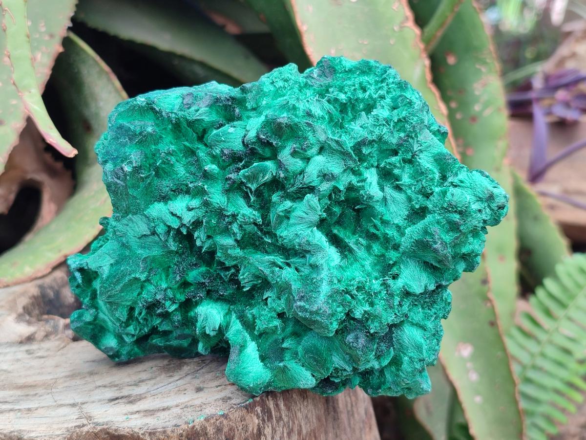 Natural Silky Malachite Specimens x 2 From Kasompe, Congo