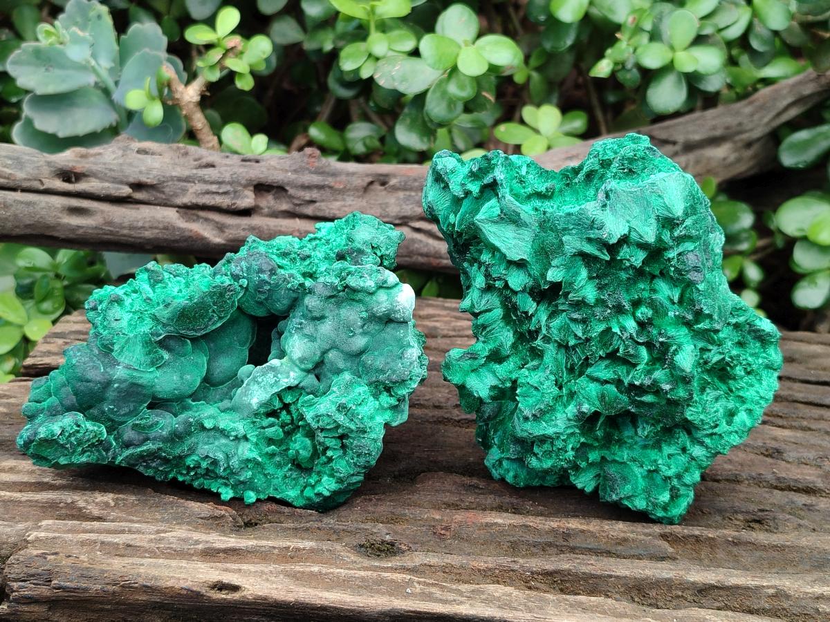 Natural Silky Malachite Specimens x 2 From Kasompe, Congo