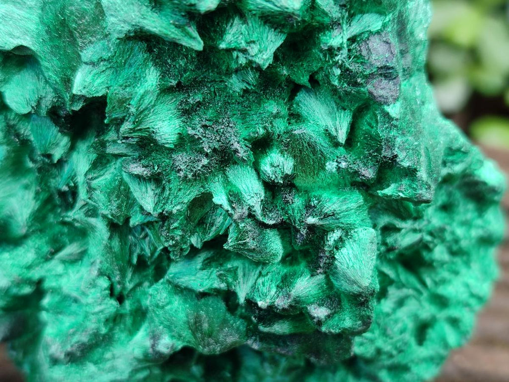 Natural Silky Malachite Specimens x 2 From Kasompe, Congo