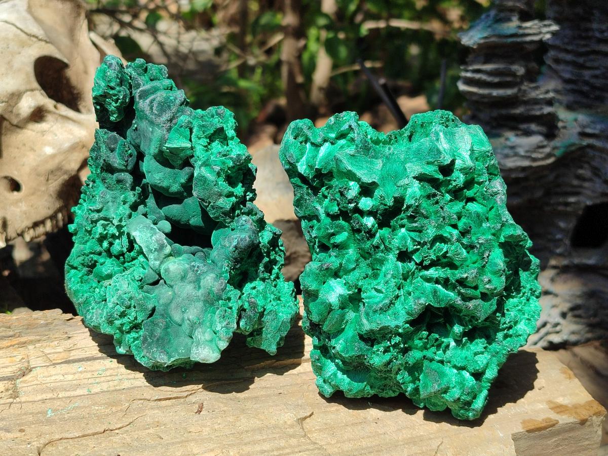 Natural Silky Malachite Specimens x 2 From Kasompe, Congo