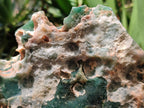 Natural Large Mtorolite Chrysoprase Specimens x 4 From Mutorashanga, Zimbabwe
