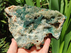 Natural Large Mtorolite Chrysoprase Specimens x 4 From Mutorashanga, Zimbabwe